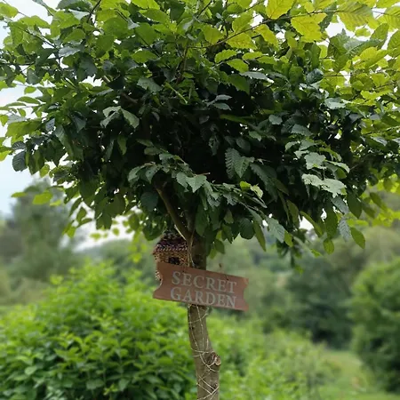 Dom wakacyjny Sonnenwinkel