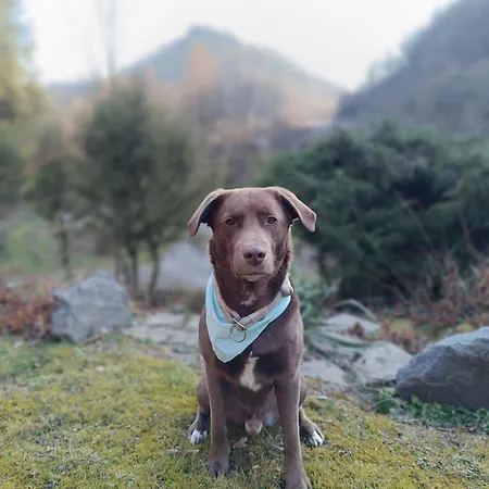 Sonnenwinkel Dom wakacyjny