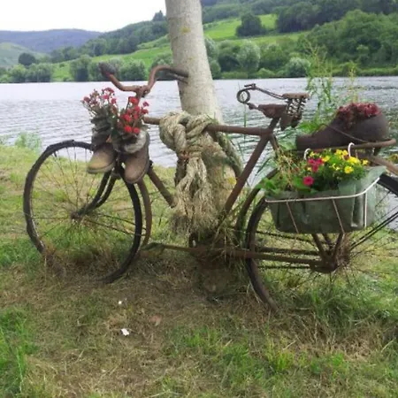 Sonnenwinkel Dom wakacyjny Brodenbach