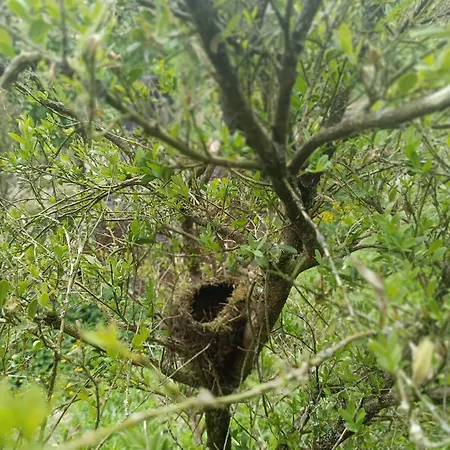 Dom wakacyjny Sonnenwinkel *