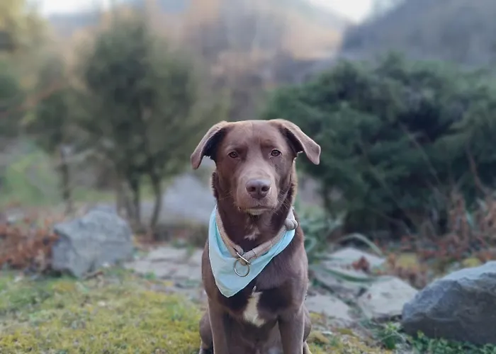 Sonnenwinkel Holiday home