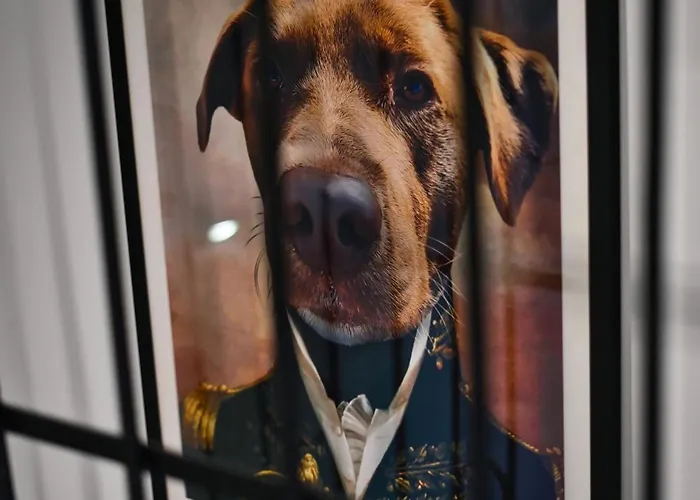 Casa de Férias Sonnenwinkel