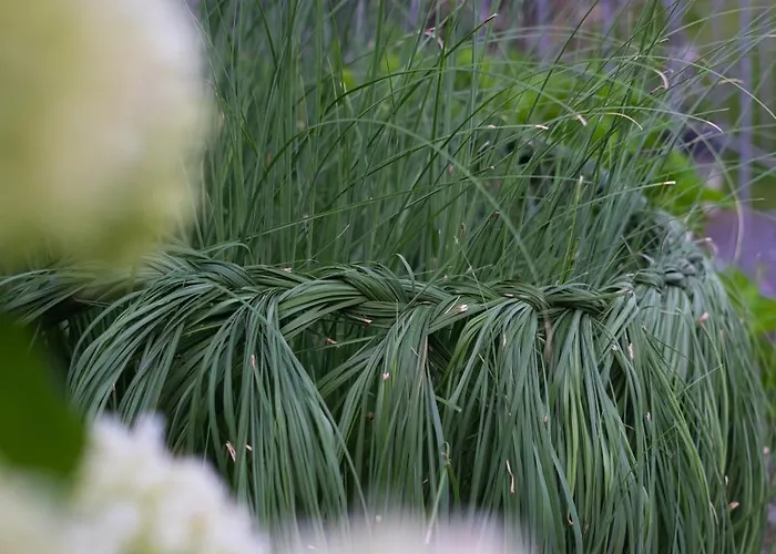 Sonnenwinkel Casa de Férias *